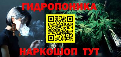 стафф Лесосибирск