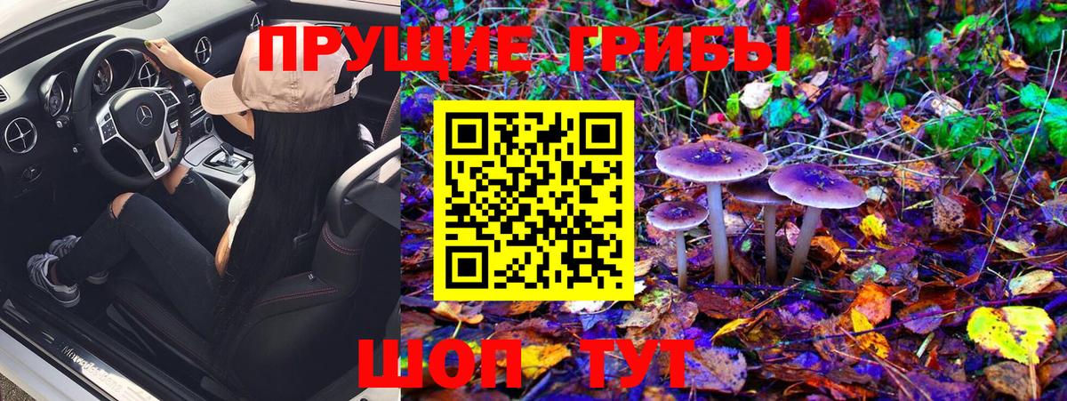 Галлюциногенные грибы Psilocybine cubensis  закладка  Ивантеевка  Галлюциногенные грибы прущие грибы  Вход с VPN 