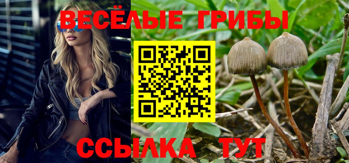 Галлюциногенные грибы Magic Shrooms Ивантеевка