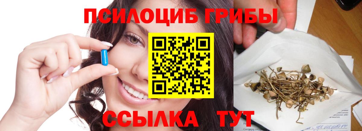Псилоцибиновые грибы Ивантеевка